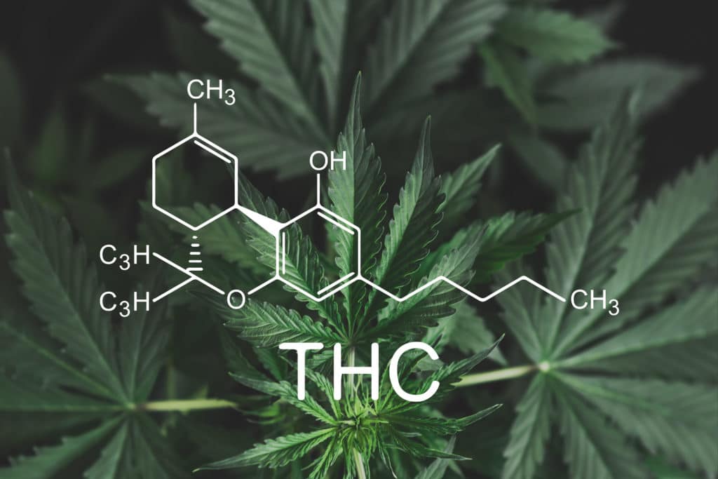 ¿Qué Es El THC? | Smoking